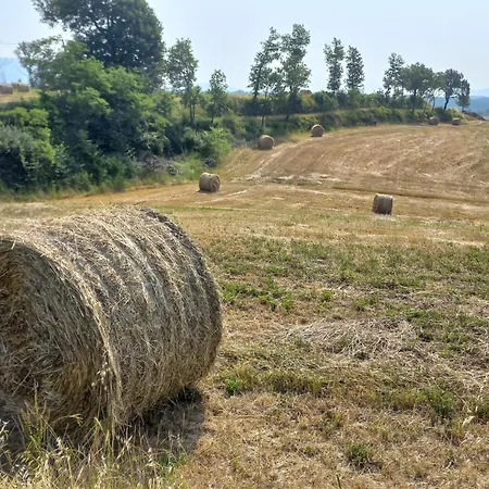 Feriehus A Casa Di Toni *